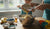 How to Make Healthy Muffins for Kids: A Fun Kitchen Adventure