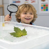 Ice STEM Activities: Cool Science for Curious Kids