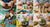 Inspiring Earth Day Projects for Kids: STEM and Crafts