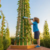 Jack and the Beanstalk STEM: Grow Curiosity & Fun