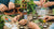 Kids' Garden Science: Fun Experiments for Curious Minds