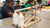 Mastering Physics: Build a Cotton Ball Launcher STEM Activity