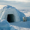 Polar Bear Den STEM Activity: Build & Learn!