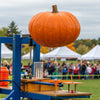 Pumpkin Chunkin STEM: Launching Fun & Learning!
