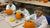 Pumpkin STEM Fun: Hands-On Learning Adventures