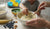 Quick Healthy Muffins for Kids: Simple Tasty Recipes