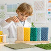 Sensory STEM: Hands-On Five Senses Activities