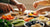 Simple Healthy Toddler Lunch Recipes for Busy Parents