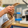 Slithering into Science: Unpacking the Best Snake STEM Activity Ideas