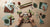 Sloth Craft for Kids: Slow Down & Get Creative!