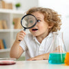 Spark Curiosity: Easy STEM Activity at Home for Every Young Explorer