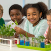 Spark Curiosity: Fun Photosynthesis STEM Activities