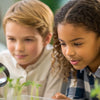 Sparking Brilliance: Engaging Primary STEM Activities for Young Learners