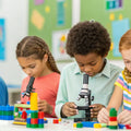 Sparking Curiosity: Engaging All About Me STEM Activities