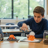 Sparking Curiosity: STEM Projects for 6th Grade