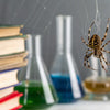 Spin a Web of Learning: Engaging Spider STEM Activities