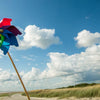 Spinning Fun: An Engaging Pinwheel STEM Activity
