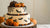 Spooktacular Halloween Cake Recipes Kids Will Love