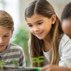 Sweet Discoveries: Engaging Valentine's STEM Activities for 4th Grade