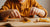 Sweet & Simple Honey Snacks for Kids: A Golden Path to Learning