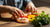 Tasty Toddler Shrimp Recipe: Easy & Nutritious Ideas