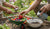 The Best Outside Toddler Activities for Family Fun