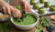 The Best Toddler Spinach Muffins: A Green Monster Treat