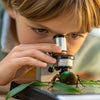 Tiny Wonders, Big Learning: Engaging Minibeast STEM Activities