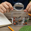 Tiny Wonders, Big Learning: Engaging Minibeast STEM Activities