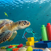 Turtle STEM Fun: Dive into Educational Adventures