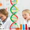 Unraveling Life's Code: A Fun DNA STEM Activity for Kids