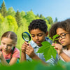 Unveiling Nature's Secrets: Engaging STEM Activities with Leaves