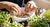 Watch Seeds Sprout: A Kids' Germination Experiment