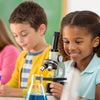 What is STEM Education? A Fun Guide for Parents
