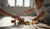Why Does Your Toddler Throw Food on the Floor?