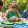 Wild Fun: Engaging Animal STEM Activities for Kids