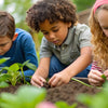 Wriggling Wonders: Exciting Worm STEM Activities for Kids