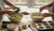 Zucchini Muffins for Kids: A Tasty STEM Adventure