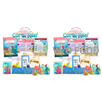 Great Barrier Coral Reef Fruit Tarts (Without Food)-1